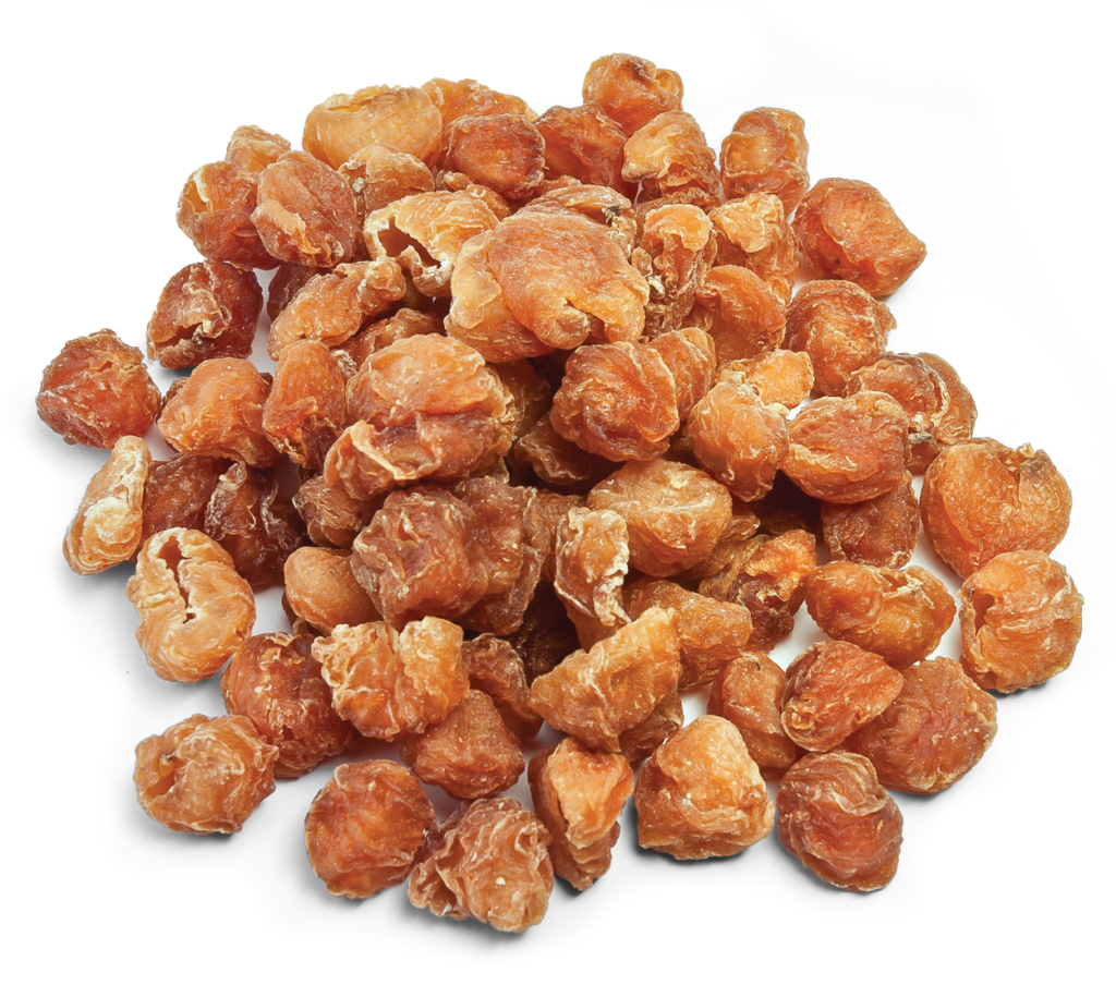 Longan